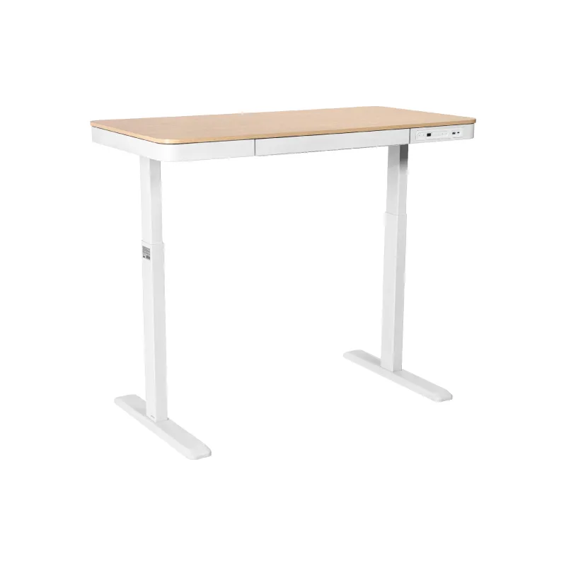 Computertisch 2E, Beige (2E-CE218D-MOTORIZED)