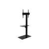 Стійка для монітора Sector 19"-55"  Black (T15_Black)