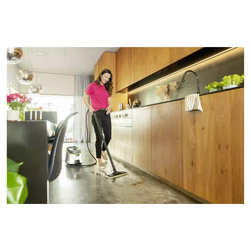 Steam cleaner Karcher (1.513-460.0), White