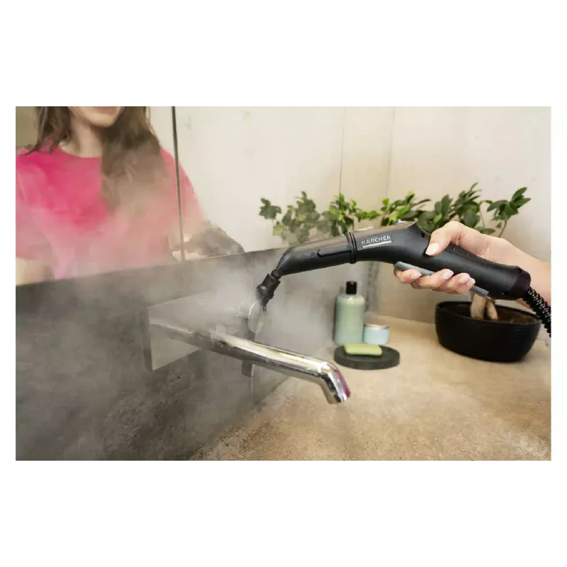 Steam cleaner Karcher (1.513-460.0), White