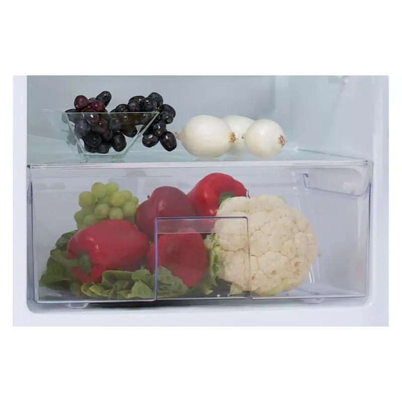 Geladeira Snaige, White (C29SM-T1002E)