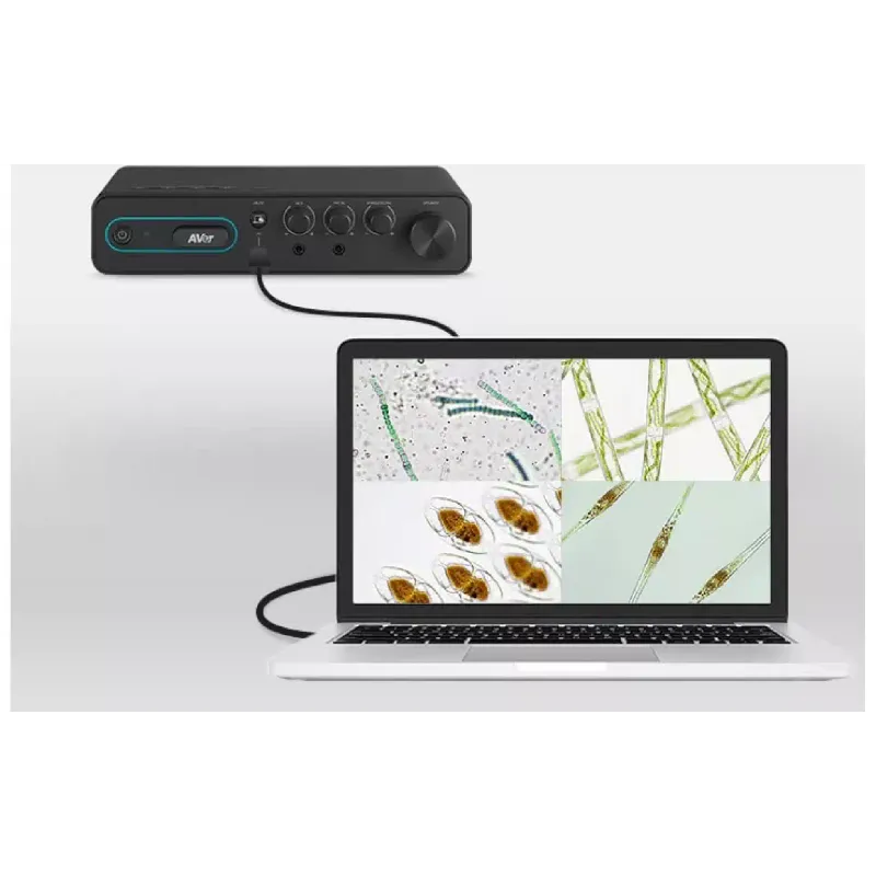 Sistem za videokonference Aver, Black (61D1B20000AB)