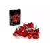 Конструктор LEGO Icons Bouquet of Roses (10328) Конструктор LEGO Icons Bouquet of Roses (10328)