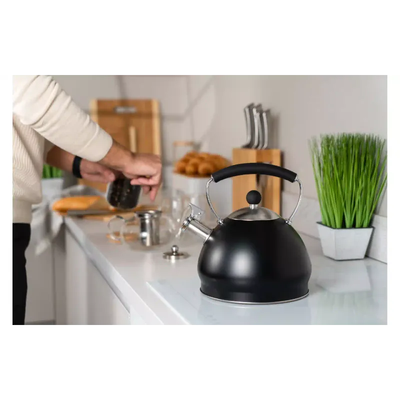 Kotliček Ardesto, Black (AR0748KS)