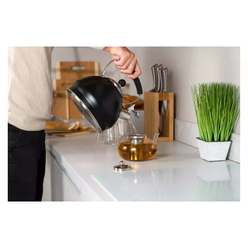 Kotliček Ardesto, Black (AR0748KS)