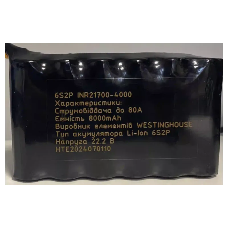 Batteriemodul Westinghouse 6S2P (6S2P INR21700-4000)
