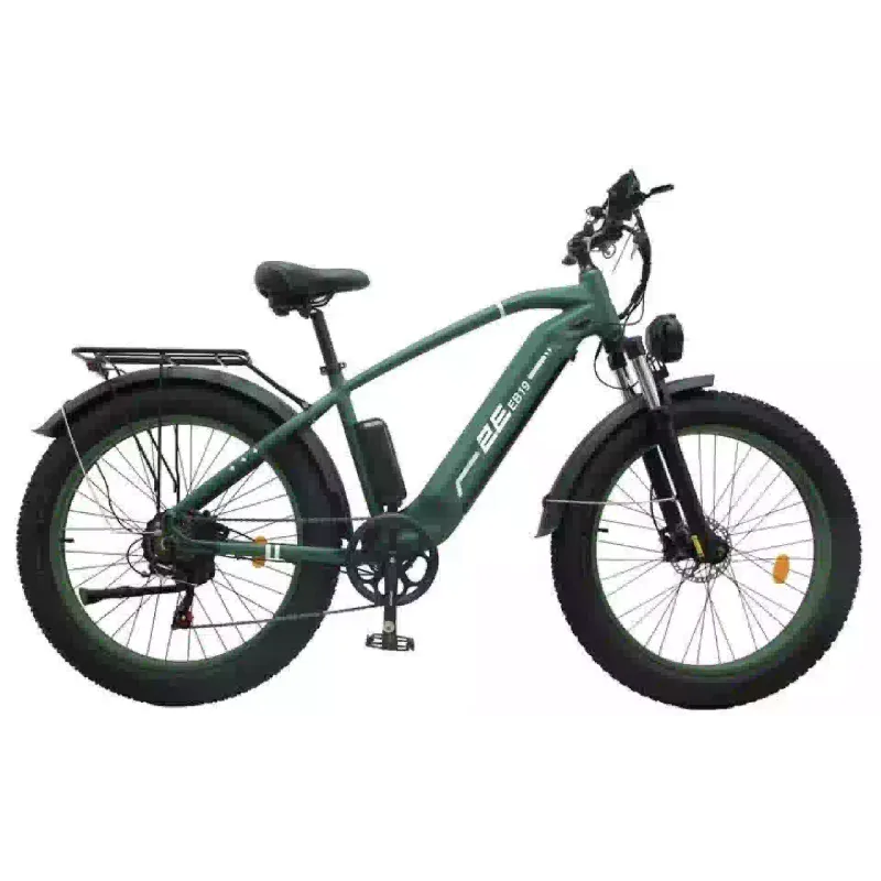 Електровелосипед 2E (EB19), Dark Green