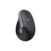 Rato Trust (25145_TRUST)