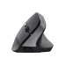 Rato Trust (25145_TRUST)