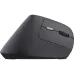 Rato Trust (25145_TRUST)