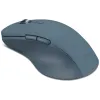 الفأر Lenovo (GY51P14335)