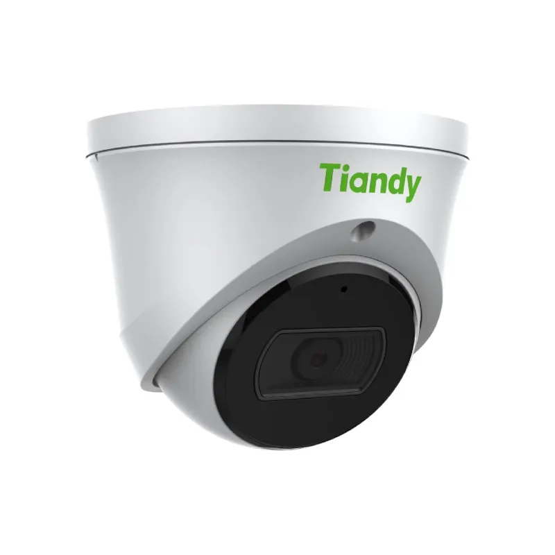 Câmera de vídeo IP Tiandy (TC-C35XQ)