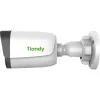 IP-video kamera Tiandy (TC-C34WP)