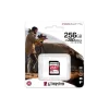 Pomnilniška kartica Kingston (SDR2V6/256GB)