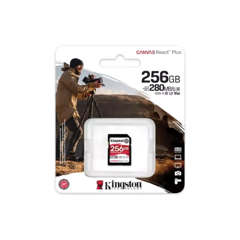 Pomnilniška kartica Kingston (SDR2V6/256GB)