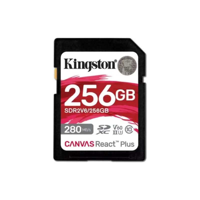 Pomnilniška kartica Kingston (SDR2V6/256GB)