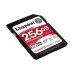 Speicherkarte Kingston (SDR2V6/256GB)