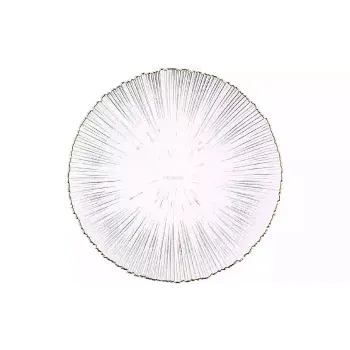 Placa Ardesto Mallow, Transparent (AR5012)