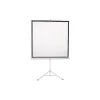 Screen on a tripod 2E 118"  (0011118T)