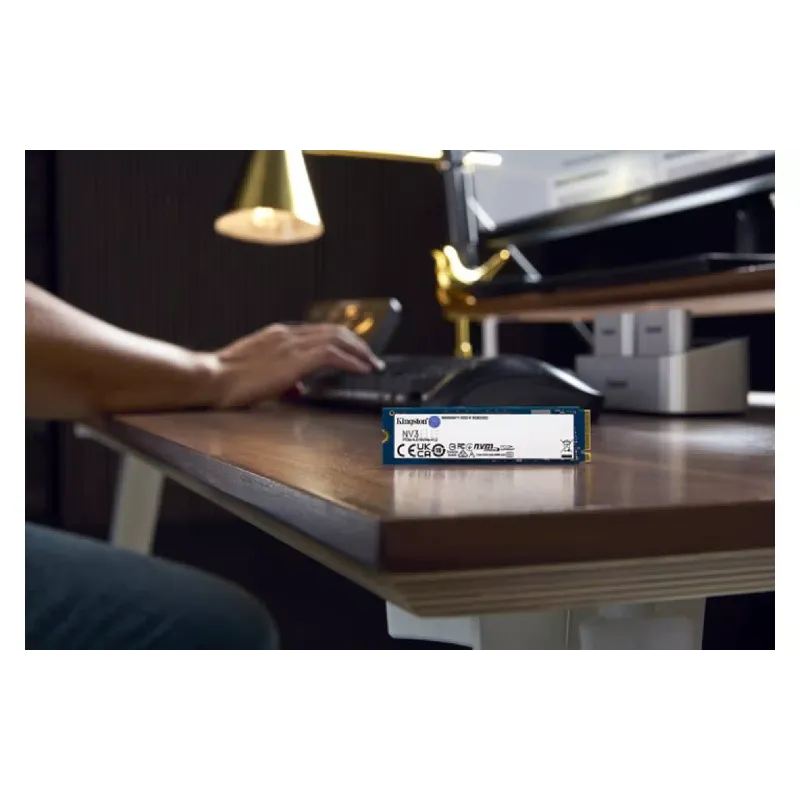تخزين SSD Kingston (SNV3S/500G)