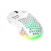 Rato Trust GXT-928 (25390_TRUST)