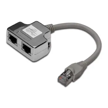 Disidente Digitus (DN-93904)