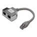 Disidente Digitus (DN-93904)