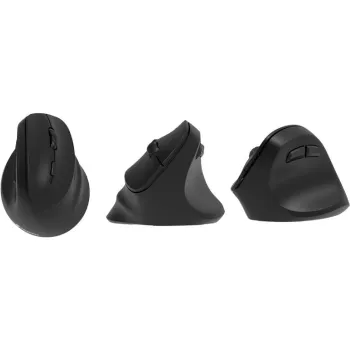 Mouse 2E  Black (2E-MF325WBK)