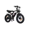 Electric bicycle 2E (EB11), Red/Black