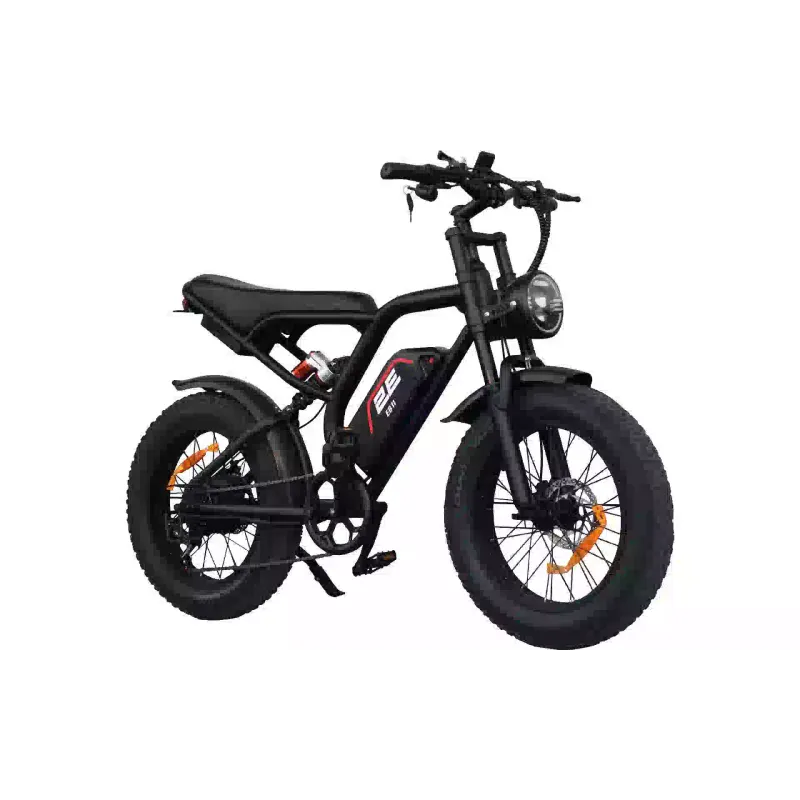 Electric bicycle 2E (EB11), Red/Black