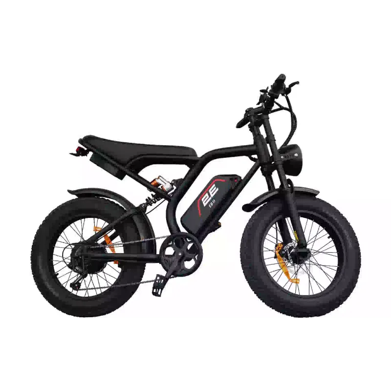 Electric bicycle 2E (EB11), Red/Black