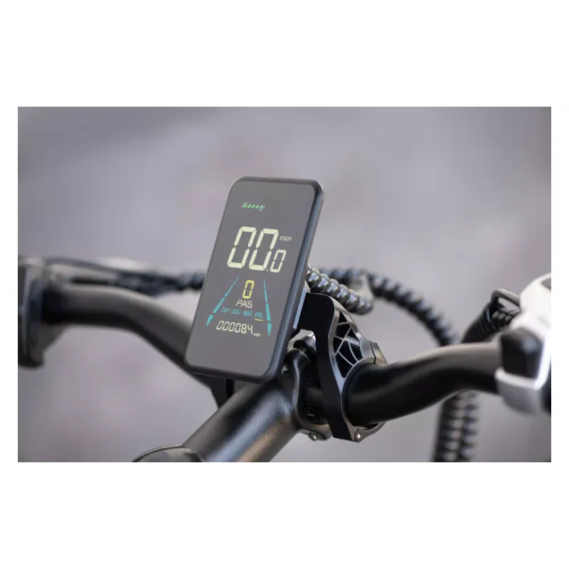 Electric bicycle 2E (EB11), Red/Black