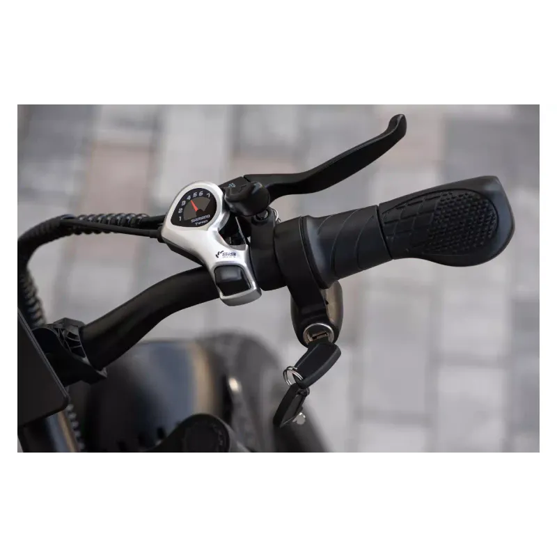 Electric bicycle 2E (EB11), Red/Black