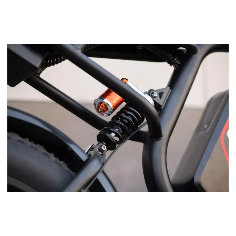 Electric bicycle 2E (EB11), Red/Black