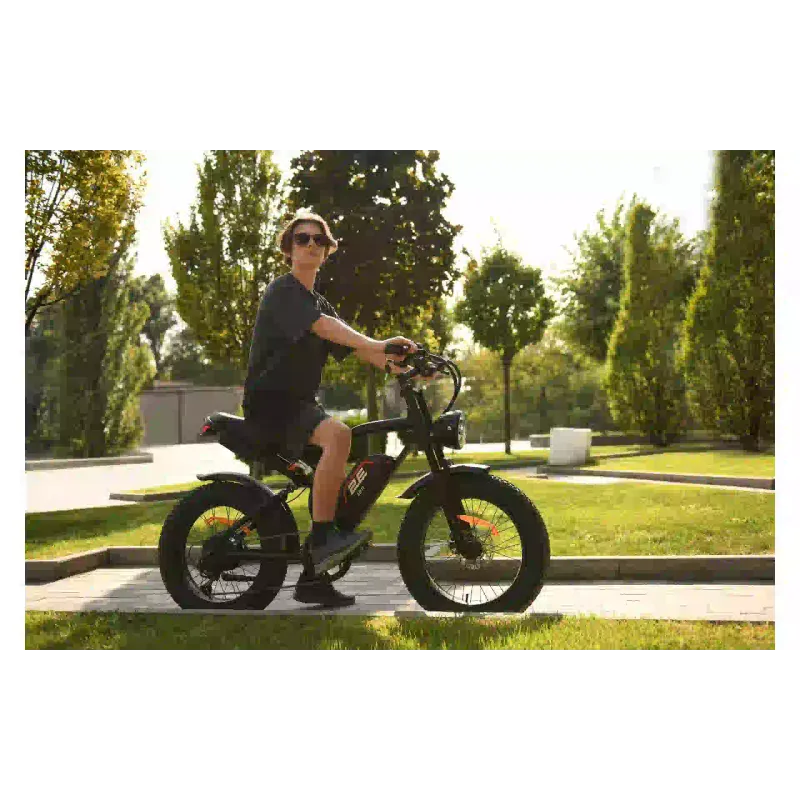 Electric bicycle 2E (EB11), Red/Black