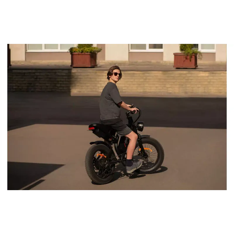 Electric bicycle 2E (EB11), Red/Black