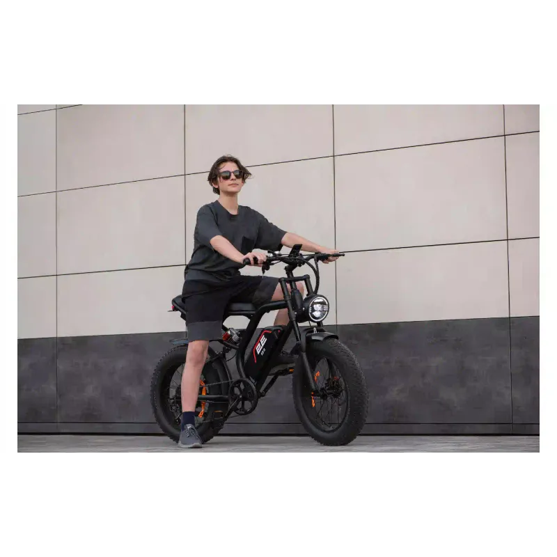 Electric bicycle 2E (EB11), Red/Black