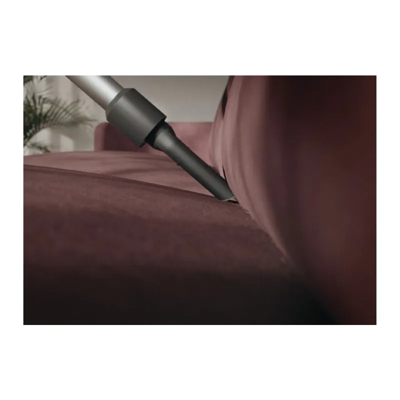 مكنسة كهربائية Electrolux (EP31CB21TG)