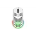 Rato Trust GXT-928 (25390_TRUST)