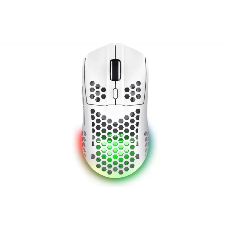 Rato Trust GXT-928 (25390_TRUST)
