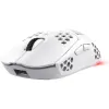 Rato Trust GXT-928 (25390_TRUST)
