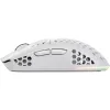 Rato Trust GXT-928 (25390_TRUST)