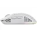 Rato Trust GXT-928 (25390_TRUST)