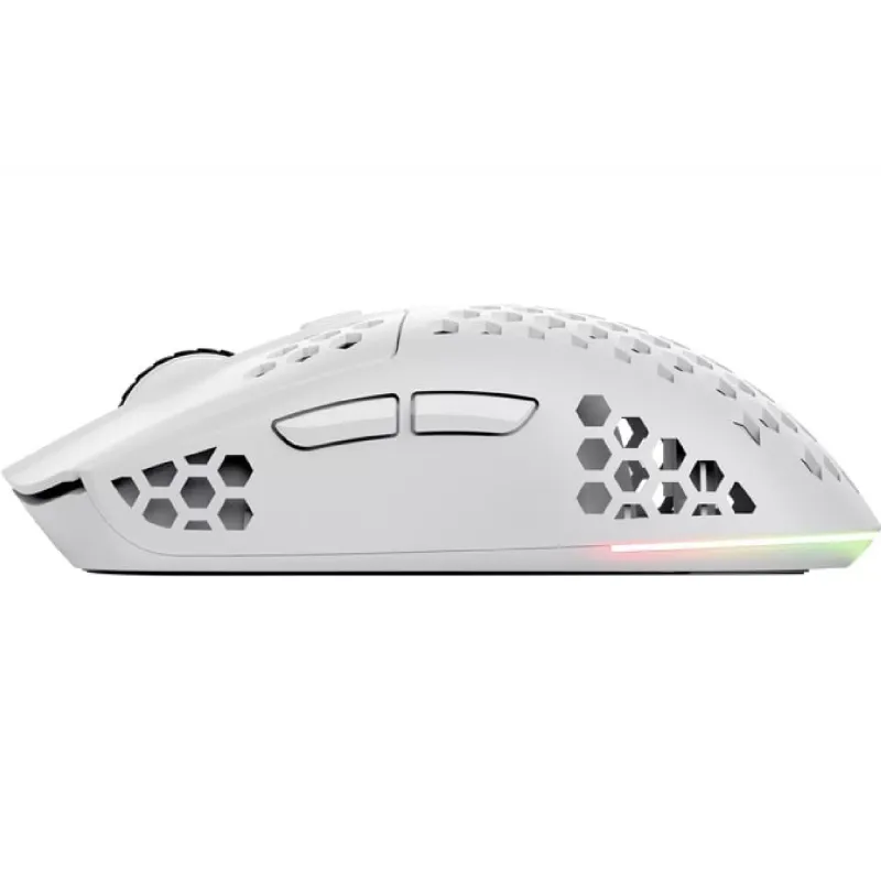 Rato Trust GXT-928 (25390_TRUST)