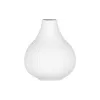Vaso Ardesto Lucca, White (AR3801W)