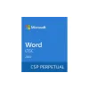 Софтуер Microsoft Word LTSC 2024 (DG7GMGF0PN41-0002)