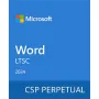 برمجة Microsoft Word LTSC 2024 (DG7GMGF0PN41-0002)