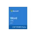 Software Microsoft Word LTSC 2024 (DG7GMGF0PN41-0002)