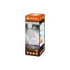 خروف Ledvance, White (4099854269622)