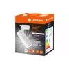 خروف Ledvance, White (4099854269400)